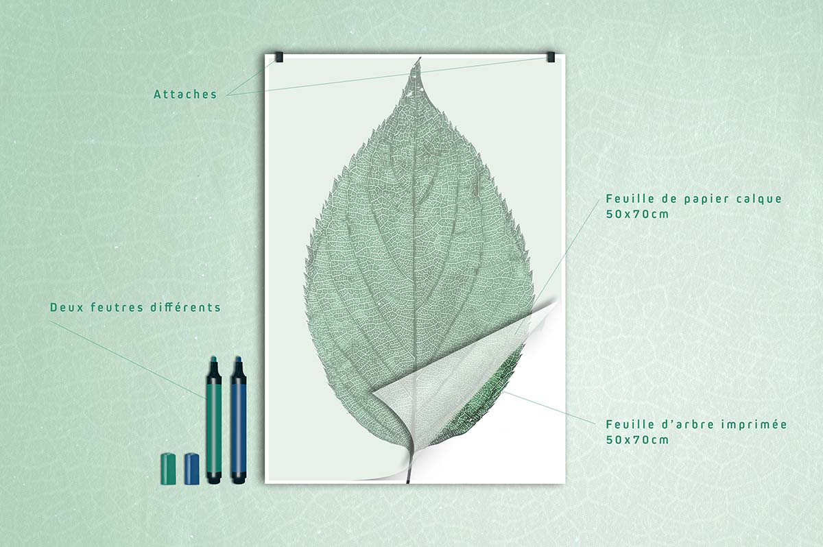 Graphisme de présentation de l'atelier de dessin méditatif de pleine conscience