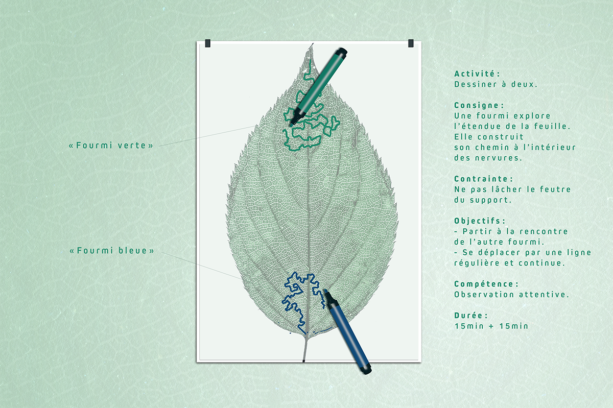 Graphisme de présentation de l'atelier de dessin méditatif de pleine conscience